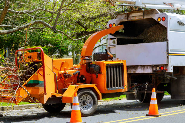 Lawn Drainage Solutions in Sea Cliff, NY